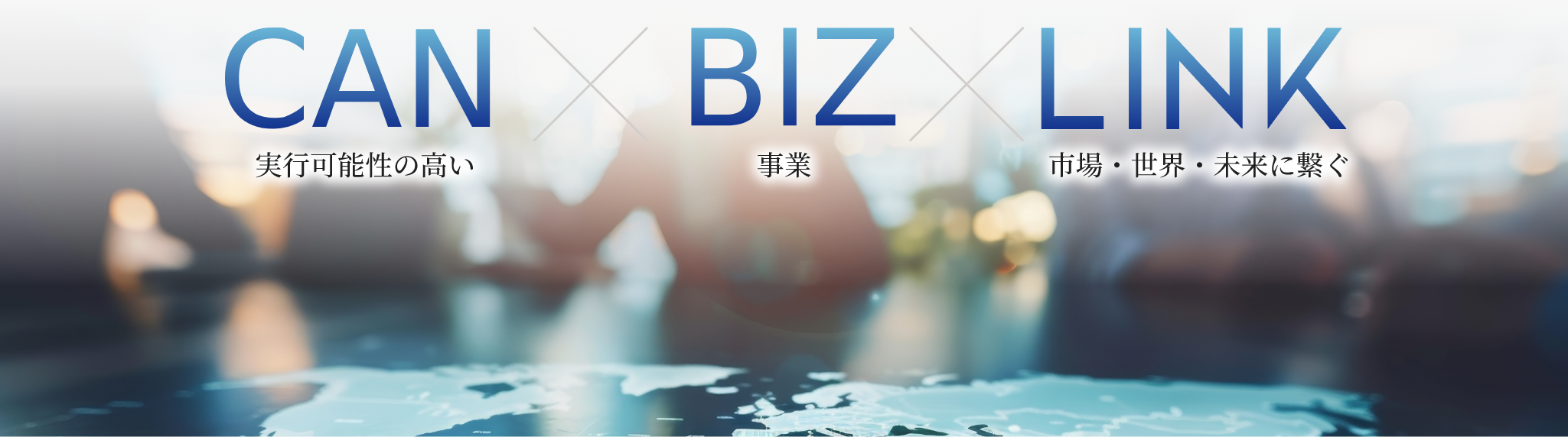 CANBIZLINKとは